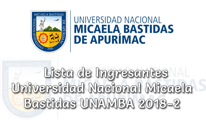 Ingresantes Examen a la Universidad Nacional Micaela Bastidas 2018-2